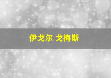 伊戈尔 戈梅斯